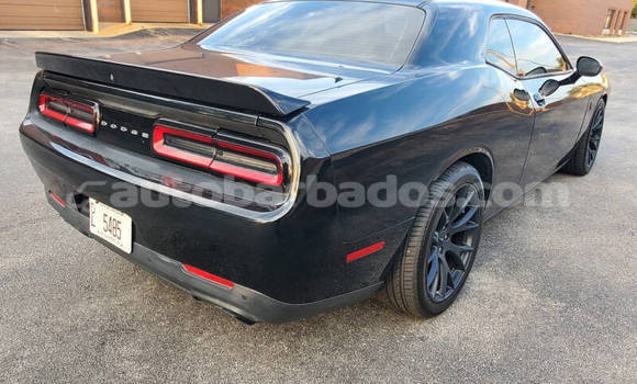 Buy Used Dodge Challenger Black Car in Bridgetown in Barbados Buy Used Dodge Challenger Black Car in Bridgetown in Barbados