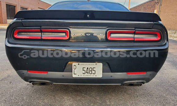 Buy Used Dodge Challenger Black Car in Bridgetown in Barbados Buy Used Dodge Challenger Black Car in Bridgetown in Barbados
