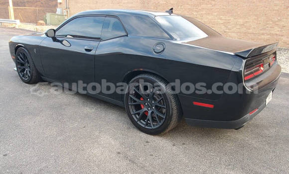 Buy Used Dodge Challenger Black Car in Bridgetown in Barbados Buy Used Dodge Challenger Black Car in Bridgetown in Barbados