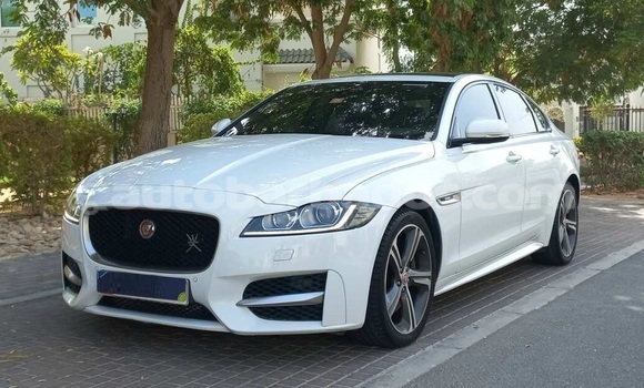 Buy Used Jaguar XF White Car in Speightstown in Barbados Buy Used Jaguar XF White Car in Speightstown in Barbados