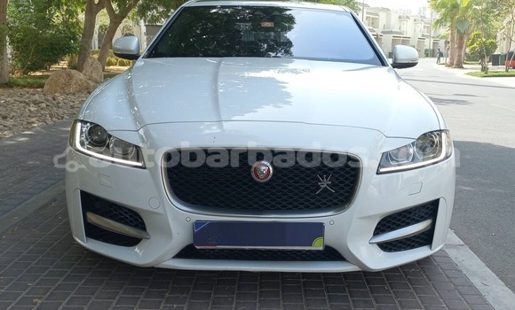 Buy Used Jaguar XF White Car in Speightstown in Barbados Buy Used Jaguar XF White Car in Speightstown in Barbados