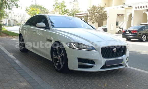 Buy Used Jaguar XF White Car in Speightstown in Barbados Buy Used Jaguar XF White Car in Speightstown in Barbados
