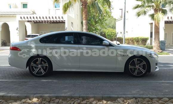 Buy Used Jaguar XF White Car in Speightstown in Barbados Buy Used Jaguar XF White Car in Speightstown in Barbados