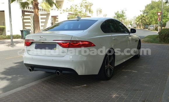 Buy Used Jaguar XF White Car in Speightstown in Barbados Buy Used Jaguar XF White Car in Speightstown in Barbados