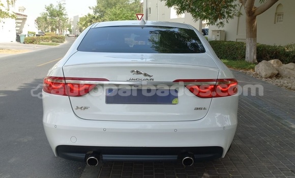 Buy Used Jaguar XF White Car in Speightstown in Barbados Buy Used Jaguar XF White Car in Speightstown in Barbados