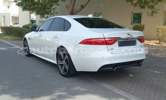 Buy Used Jaguar XF White Car in Speightstown in Barbados Buy Used Jaguar XF White Car in Speightstown in Barbados