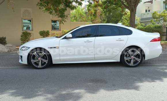 Buy Used Jaguar XF White Car in Speightstown in Barbados Buy Used Jaguar XF White Car in Speightstown in Barbados