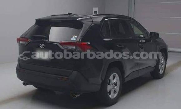 Buy Used Toyota RAV4 Other Car in Bridgetown in Barbados