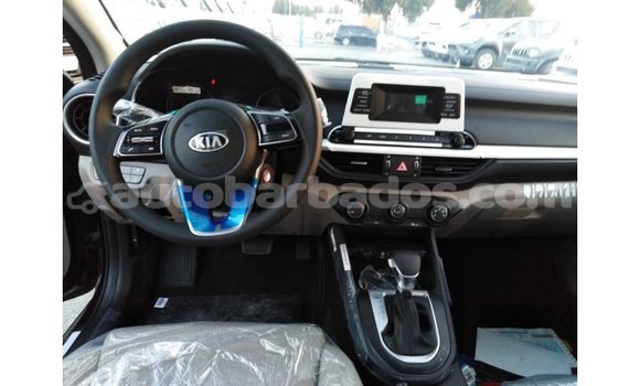 Buy Import Kia Cerato Black Car in Import - Dubai in Barbados Buy Import Kia Cerato Black Car in Import - Dubai in Barbados