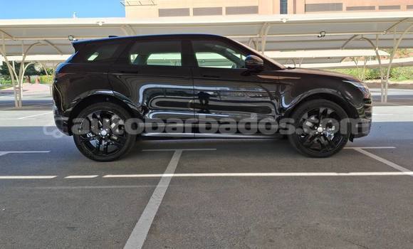 Buy Used Range Rover Evoque Black Car in Greenland in Barbados Buy Used Range Rover Evoque Black Car in Greenland in Barbados