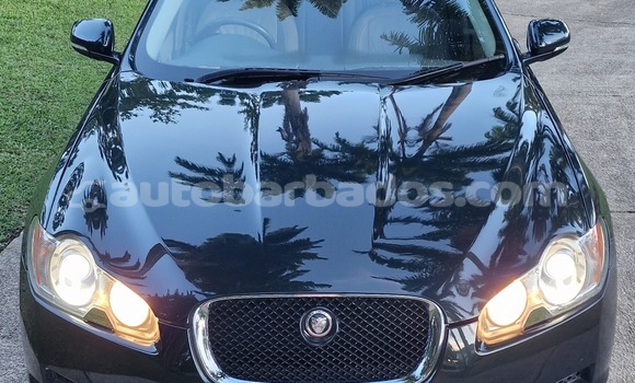 Buy Used Jaguar XF Green Car in Holetown in Barbados Buy Used Jaguar XF Green Car in Holetown in Barbados