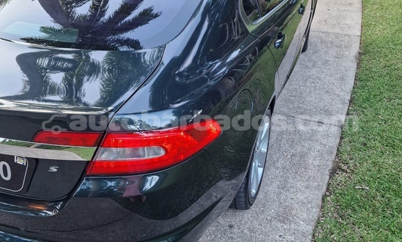 Buy Used Jaguar XF Green Car in Holetown in Barbados Buy Used Jaguar XF Green Car in Holetown in Barbados