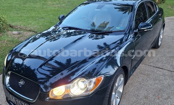 Buy Used Jaguar XF Green Car in Holetown in Barbados Buy Used Jaguar XF Green Car in Holetown in Barbados
