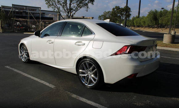 Buy Used Lexus IS White Car in Greenland in Barbados Buy Used Lexus IS White Car in Greenland in Barbados