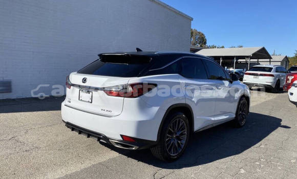 Buy Used Lexus RX 350 White Car in Bridgetown in Barbados Buy Used Lexus RX 350 White Car in Bridgetown in Barbados