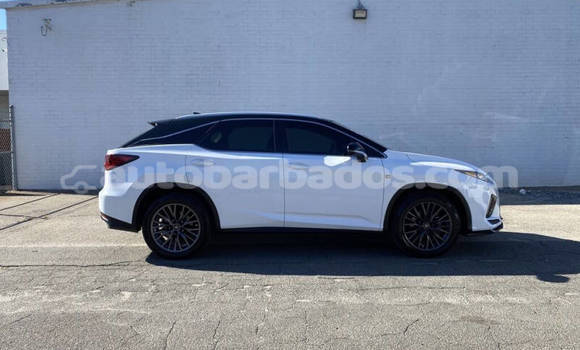 Buy Used Lexus RX 350 White Car in Bridgetown in Barbados Buy Used Lexus RX 350 White Car in Bridgetown in Barbados