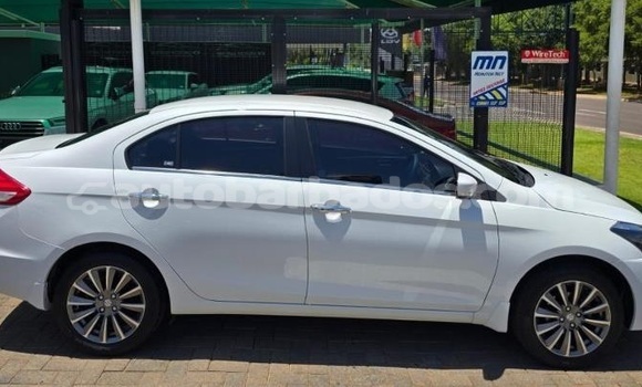 Buy Used Suzuki Ciaz White Car in Bridgetown in Barbados Buy Used Suzuki Ciaz White Car in Bridgetown in Barbados