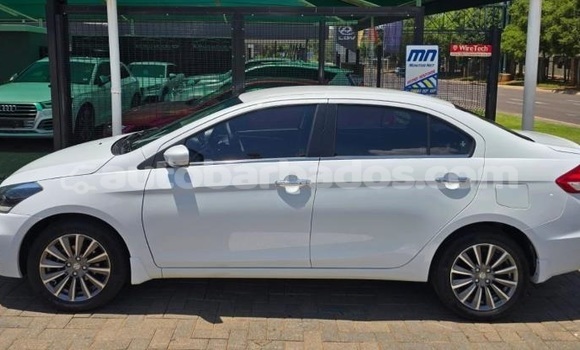 Buy Used Suzuki Ciaz White Car in Bridgetown in Barbados Buy Used Suzuki Ciaz White Car in Bridgetown in Barbados