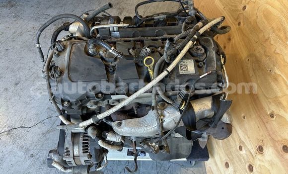 Buy FORD F150 5.0L in Bridgetown in Barbados Buy FORD F150 5.0L in Bridgetown in Barbados