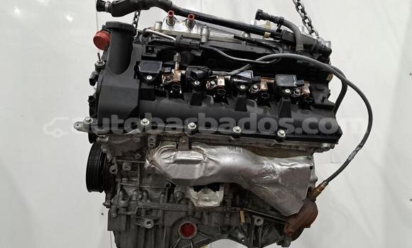 Buy 2016 JAGUAR F TYPE 5.0 in Speightstown in Barbados Buy 2016 JAGUAR F TYPE 5.0 in Speightstown in Barbados