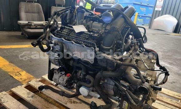 Buy Volkswagen Golf Turbo in Bridgetown in Barbados Buy Volkswagen Golf Turbo in Bridgetown in Barbados