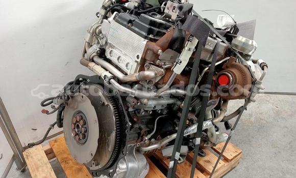 Buy ISUZU DMAX 3.0 in Crane in Barbados Buy ISUZU DMAX 3.0 in Crane in Barbados