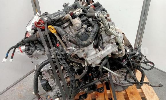 Buy ISUZU DMAX 3.0 in Crane in Barbados Buy ISUZU DMAX 3.0 in Crane in Barbados