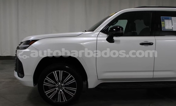 Buy Used Lexus LX White Car in Holetown in Barbados Buy Used Lexus LX White Car in Holetown in Barbados