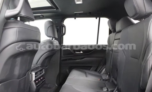 Buy Used Lexus LX White Car in Holetown in Barbados Buy Used Lexus LX White Car in Holetown in Barbados