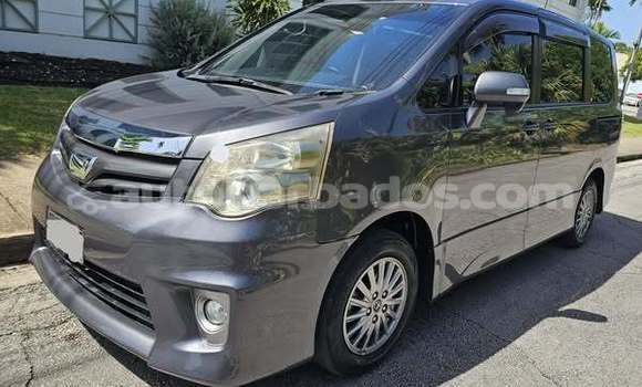 Buy Used Toyota Noah Other Car in Crane in Barbados
