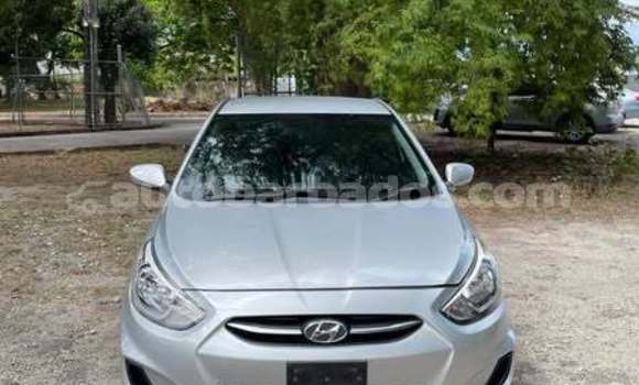 Buy Used Hyundai Accent Other Car in Bridgetown in Barbados