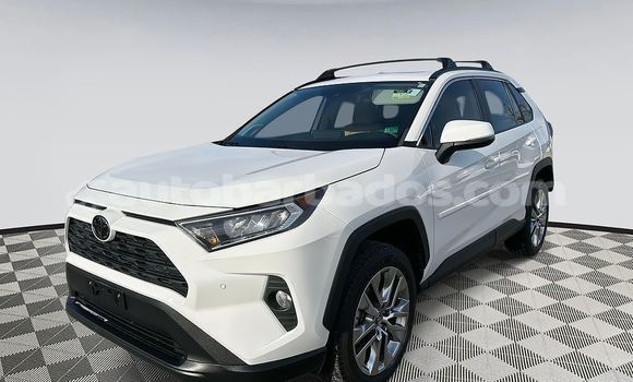 Buy Used Toyota RAV4 White Car in Bathsheba in Barbados