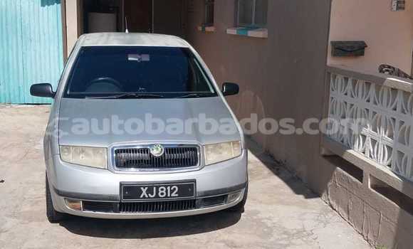 Buy Used Skoda Fabia Silver Car in Bridgetown in Barbados