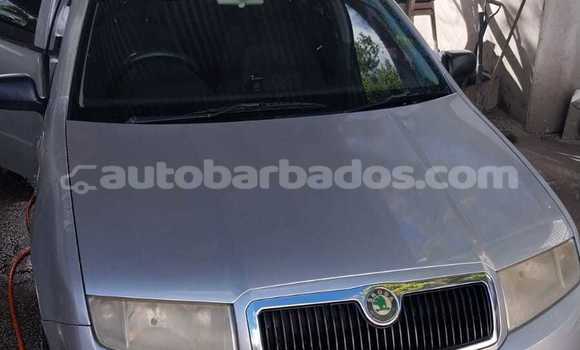 Buy Used Skoda Fabia Silver Car in Bridgetown in Barbados Buy Used Skoda Fabia Silver Car in Bridgetown in Barbados