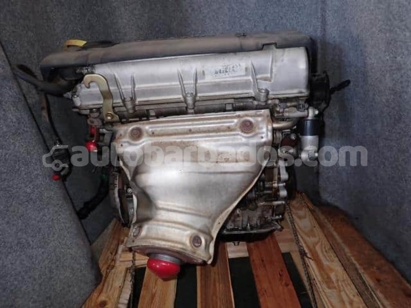 Big with watermark pa95688275 492f51