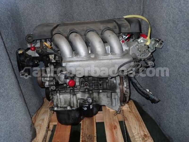 Big with watermark voltzz