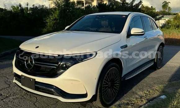 Buy Used Mercedes-Benz E–Class White Car in Bridgetown in Barbados Buy Used Mercedes-Benz E–Class White Car in Bridgetown in Barbados