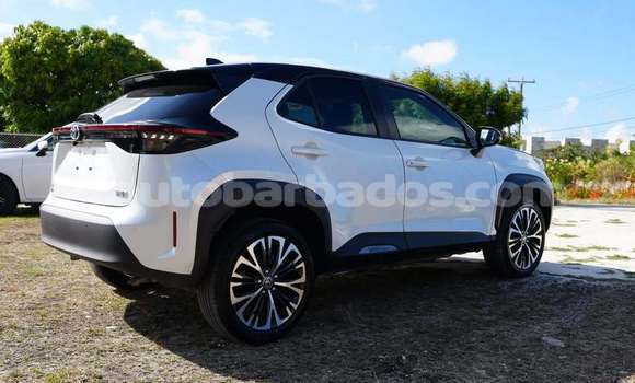 Buy Used Toyota Yaris White Car in Bridgetown in Barbados Buy Used Toyota Yaris White Car in Bridgetown in Barbados