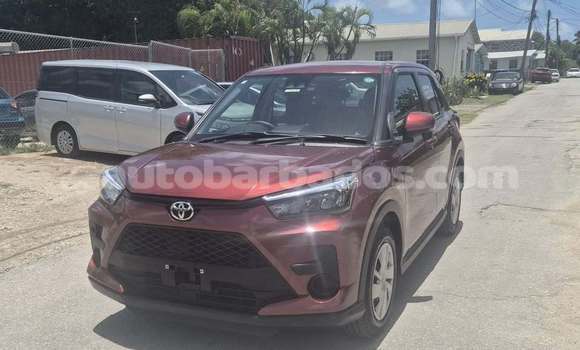 Buy Used Toyota Ractis Red Car in Bridgetown in Barbados Buy Used Toyota Ractis Red Car in Bridgetown in Barbados