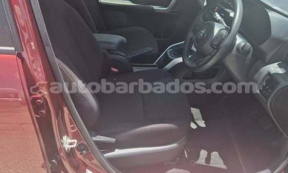 Buy Used Toyota Ractis Red Car in Bridgetown in Barbados Buy Used Toyota Ractis Red Car in Bridgetown in Barbados