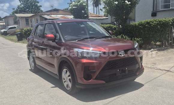 Buy Used Toyota Ractis Red Car in Bridgetown in Barbados Buy Used Toyota Ractis Red Car in Bridgetown in Barbados