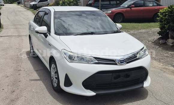 Buy Used Toyota Axio White Car in Bridgetown in Barbados Buy Used Toyota Axio White Car in Bridgetown in Barbados