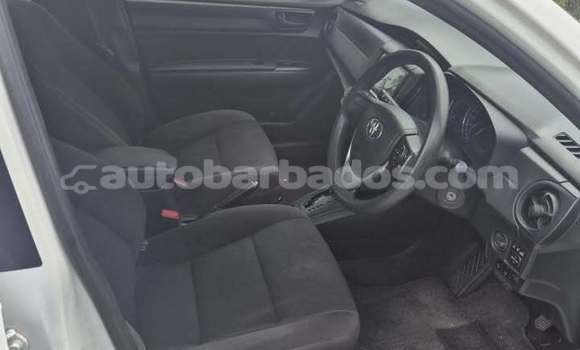 Buy Used Toyota Axio White Car in Bridgetown in Barbados Buy Used Toyota Axio White Car in Bridgetown in Barbados