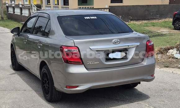 Buy Used Toyota Axio Other Car in Bridgetown in Barbados Buy Used Toyota Axio Other Car in Bridgetown in Barbados