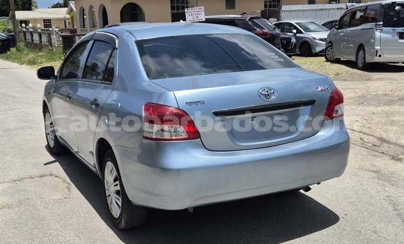 Buy Used Toyota Yaris Blue Car in Bridgetown in Barbados Buy Used Toyota Yaris Blue Car in Bridgetown in Barbados