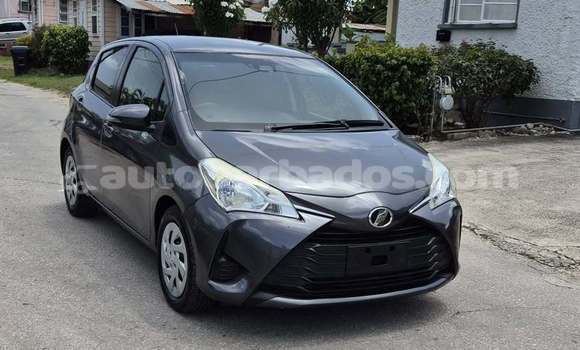 Buy Used Toyota Vitz Black Car in Bridgetown in Barbados Buy Used Toyota Vitz Black Car in Bridgetown in Barbados