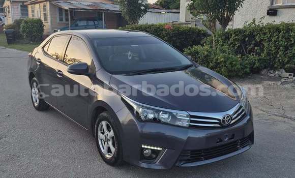 Buy Used Toyota Corolla Other Car in Bridgetown in Barbados Buy Used Toyota Corolla Other Car in Bridgetown in Barbados