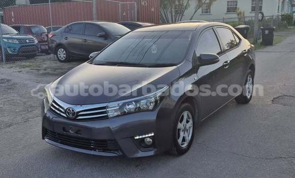 Buy Used Toyota Corolla Other Car in Bridgetown in Barbados Buy Used Toyota Corolla Other Car in Bridgetown in Barbados