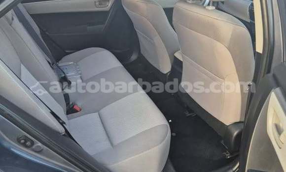 Buy Used Toyota Corolla Other Car in Bridgetown in Barbados Buy Used Toyota Corolla Other Car in Bridgetown in Barbados