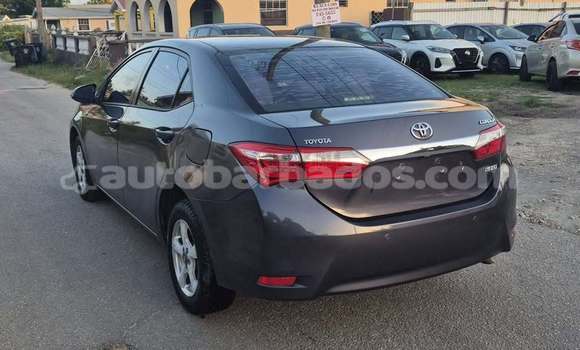 Buy Used Toyota Corolla Other Car in Bridgetown in Barbados Buy Used Toyota Corolla Other Car in Bridgetown in Barbados
